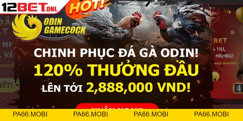 Đăng Ký 12BET - Khởi Đầu Cuộc Phiêu Lưu Giải Trí Bất Tận Đăng Ký 12BET - Khởi Đầu Cuộc Phiêu Lưu Giải Trí Bất Tận