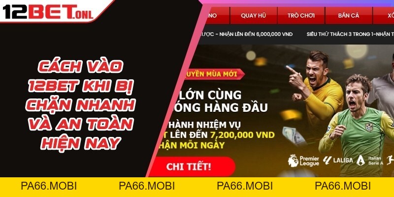 Chia Sẻ Kiến Thức Toàn Tập Về Cá Cược 12BET