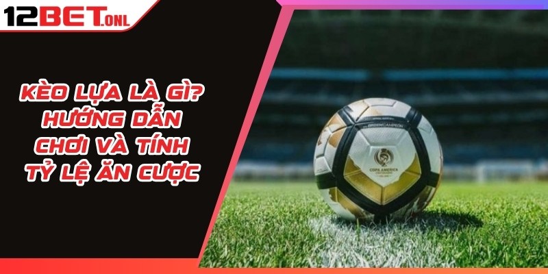 Xả Kèo Là Gì? Chiến Thuật Chơi Thông Minh Tối Ưu Lợi Nhuận Xả Kèo Là Gì? Chiến Thuật Chơi Thông Minh Tối Ưu Lợi Nhuận